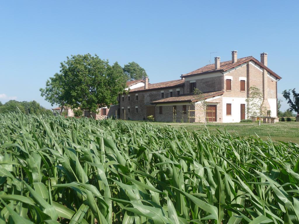 Barchessa Da Rio Villa Ponte San Nicolo Ruang foto