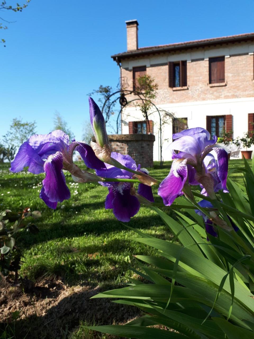 Barchessa Da Rio Villa Ponte San Nicolo Bagian luar foto