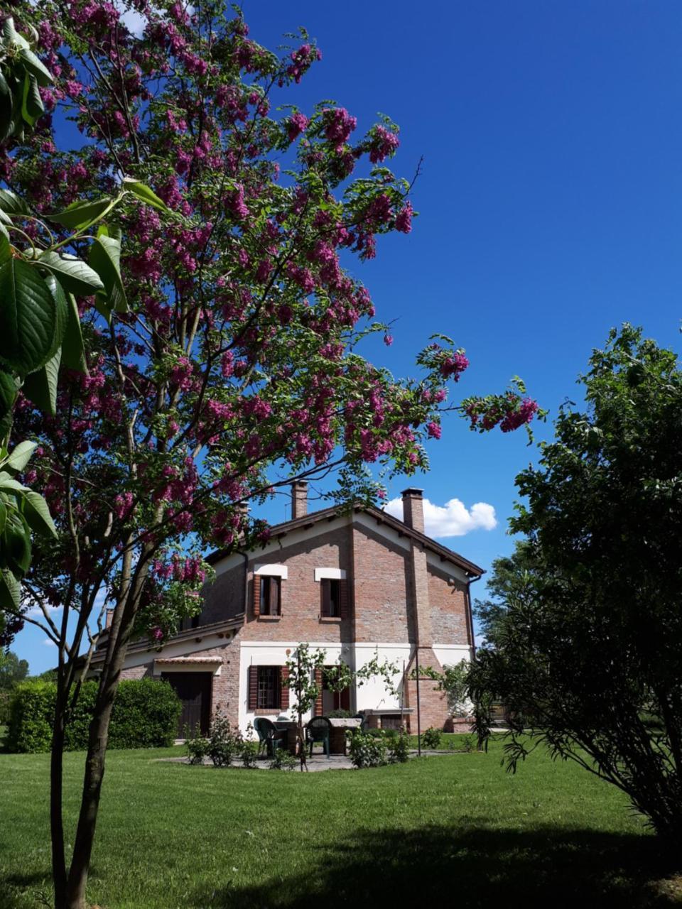 Barchessa Da Rio Villa Ponte San Nicolo Bagian luar foto